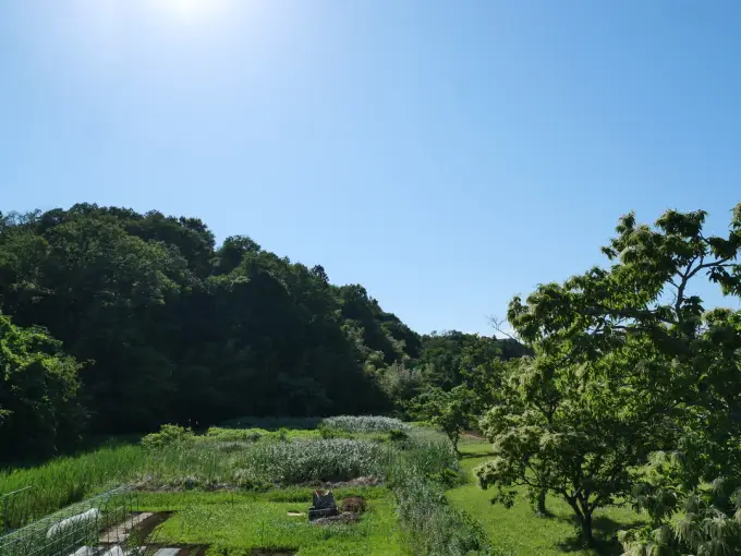 写真No.2