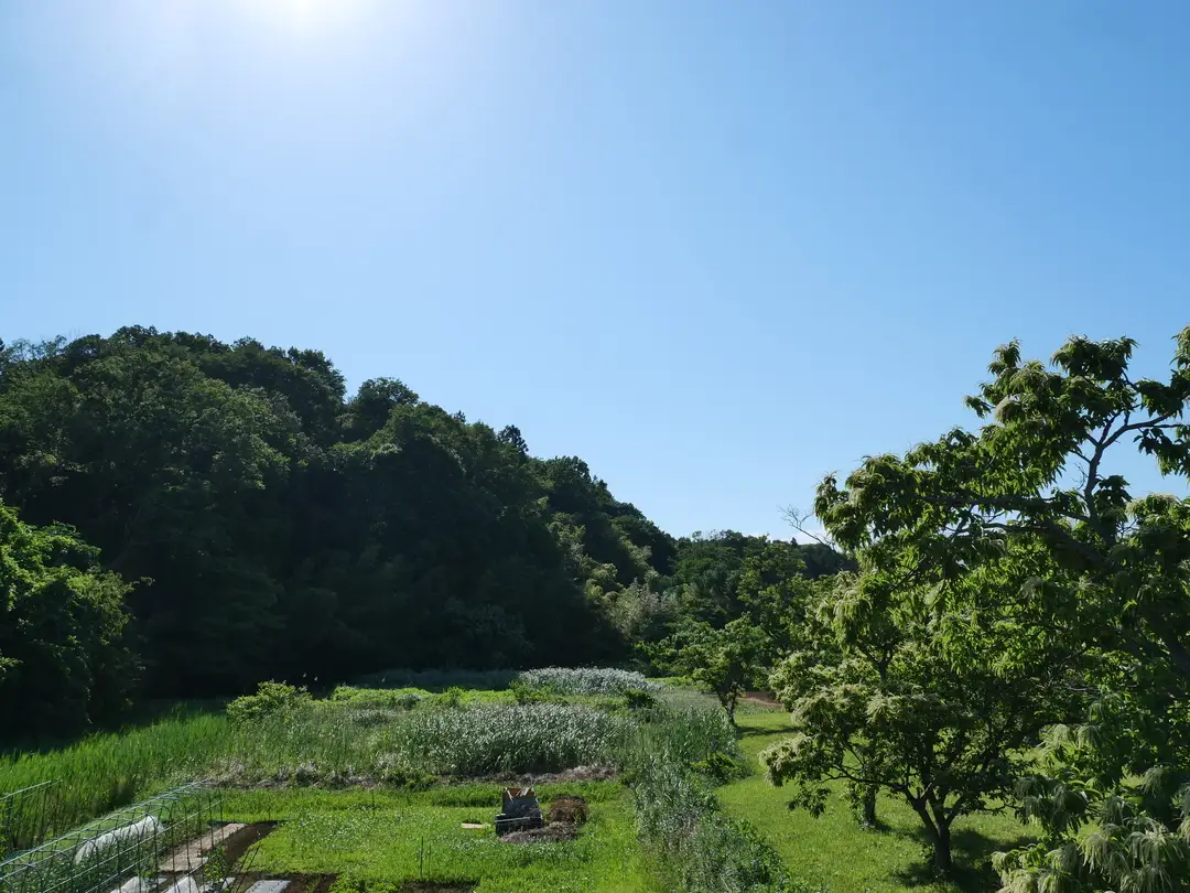 写真No.2