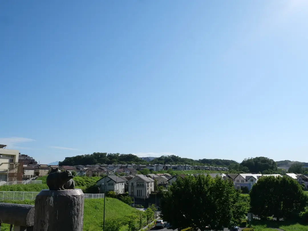 写真No.9