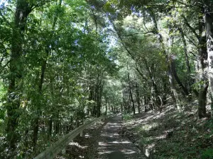 写真No.5