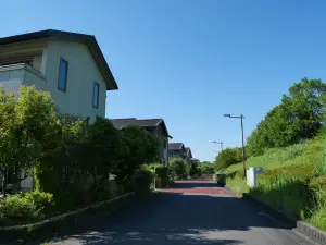 写真No.7