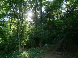 写真No.12