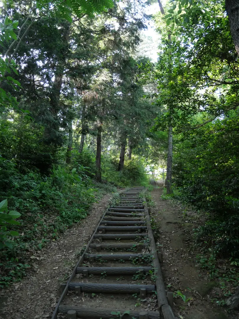 写真No.14