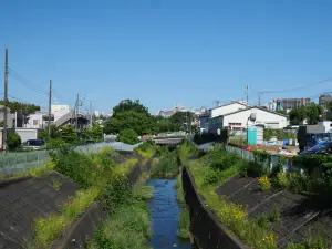 写真No.12
