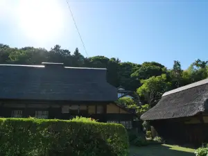 写真No.4