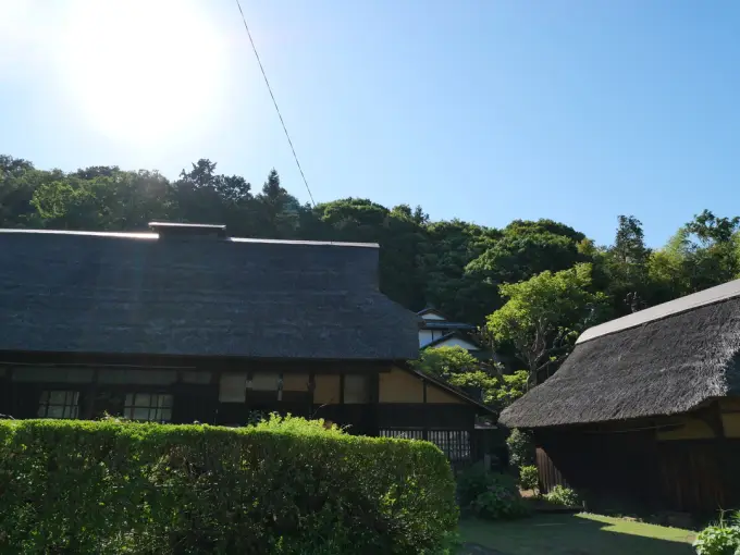写真No.4