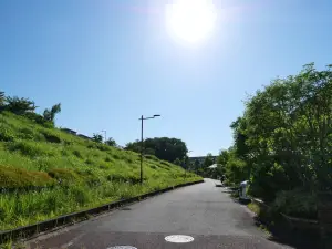 写真No.6