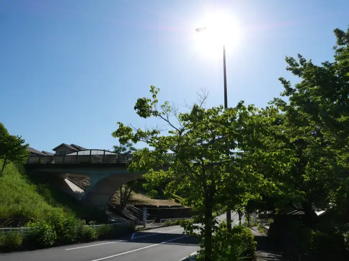 写真No.4