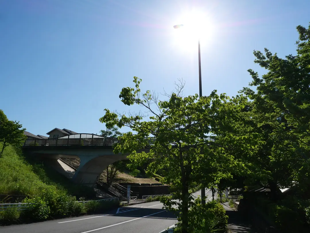写真No.4