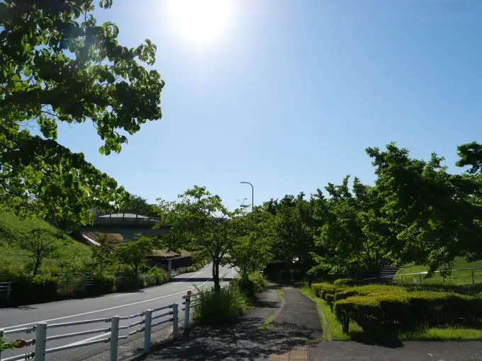 写真No.3