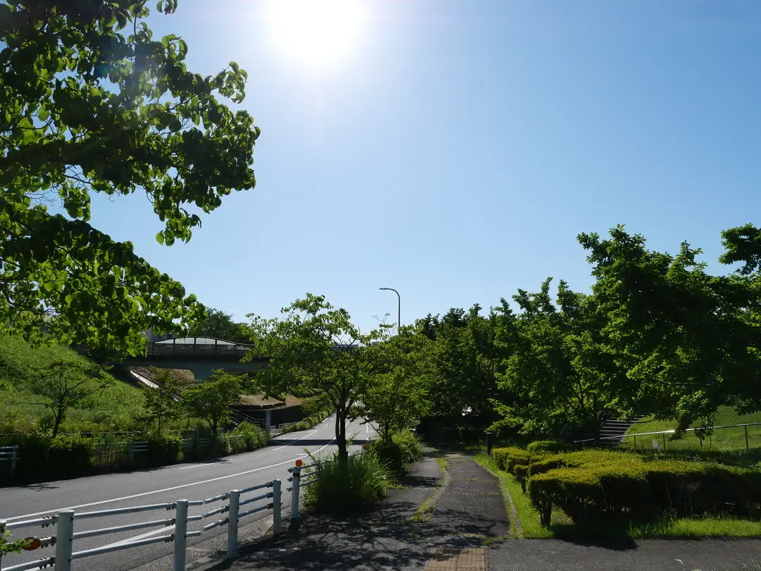 写真No.3