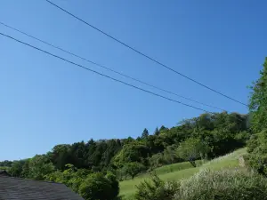 写真No.8