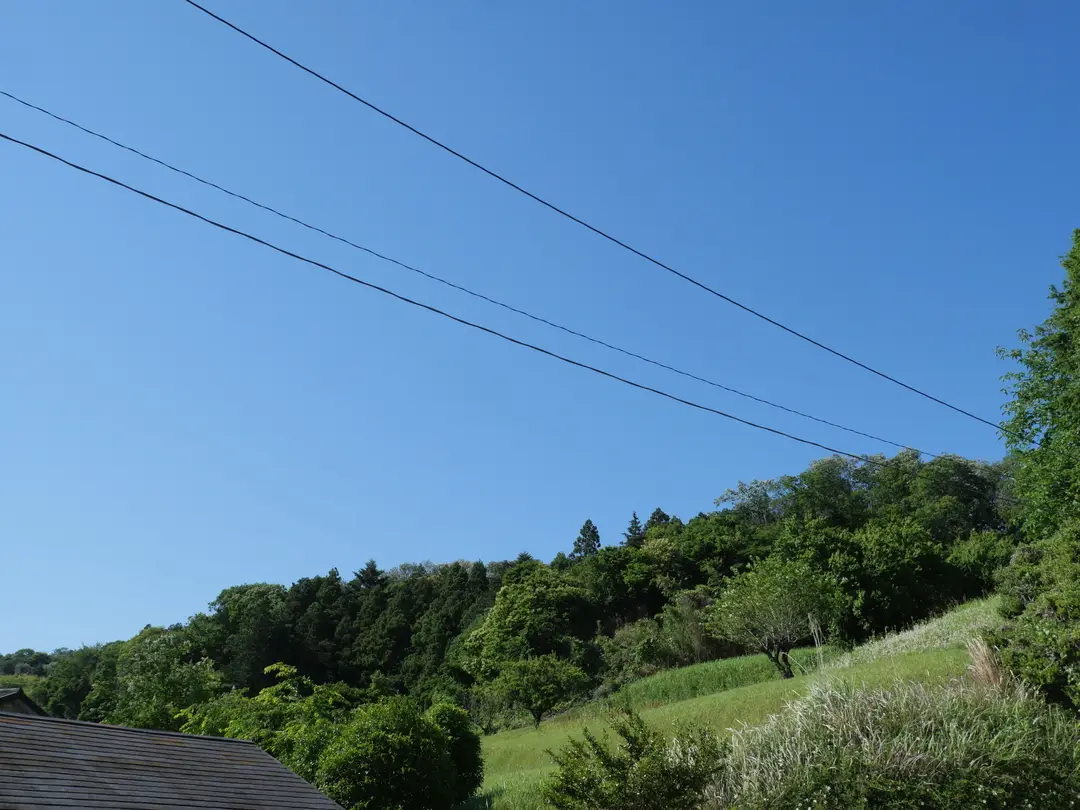写真No.8