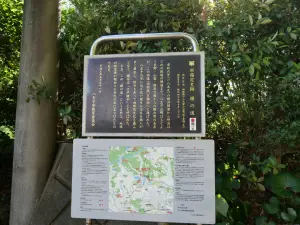 写真No.9