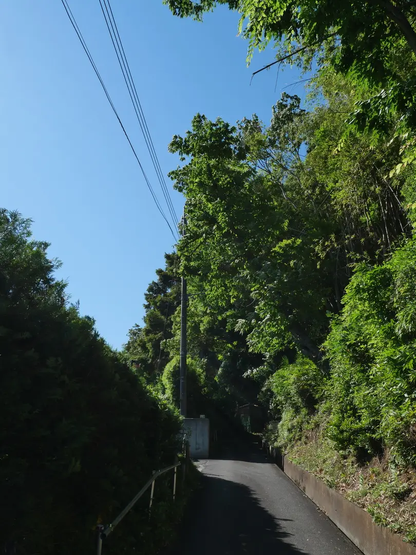 写真No.10