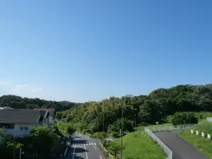 写真No.8