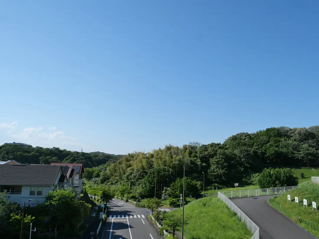 写真No.8