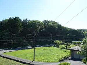 写真No.7