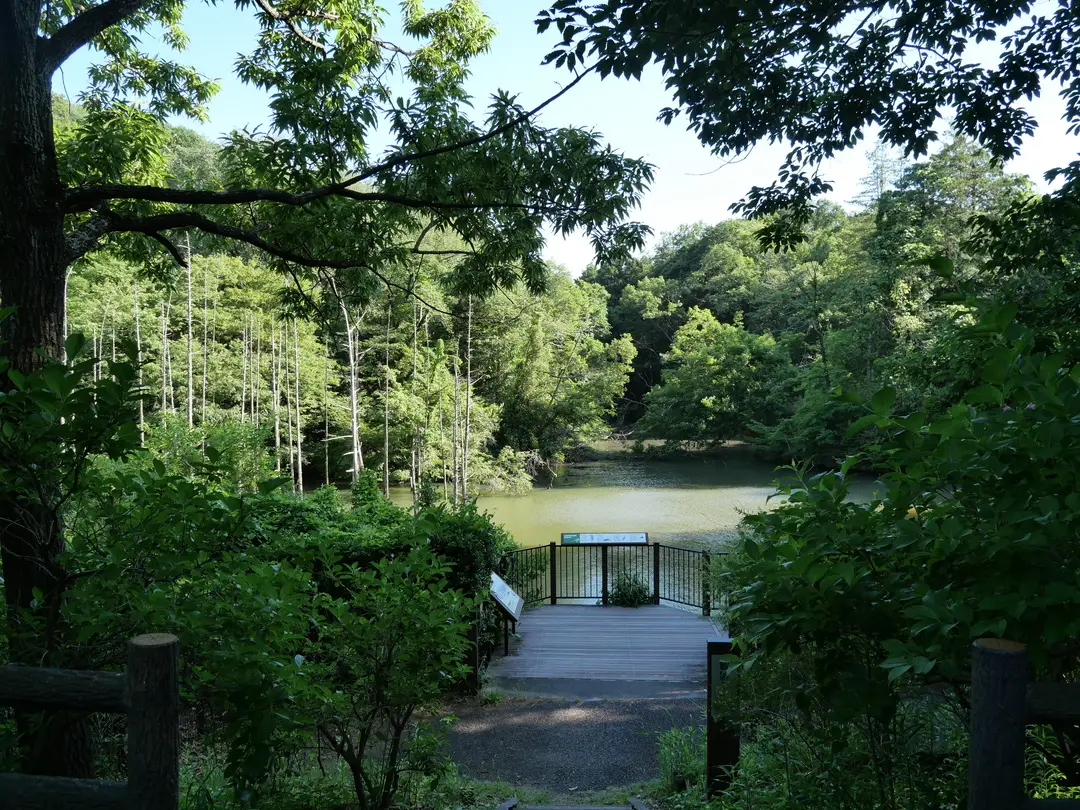 写真No.3