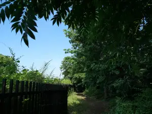 写真No.3