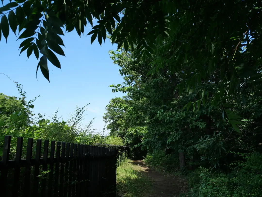 写真No.3