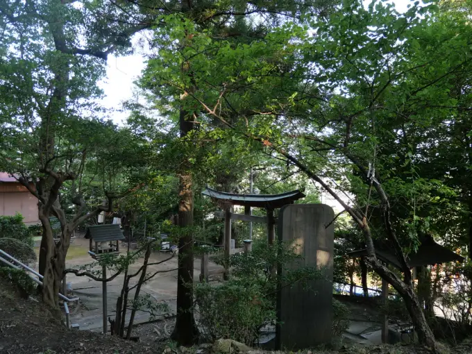 写真No.4