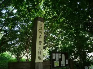 写真No.2