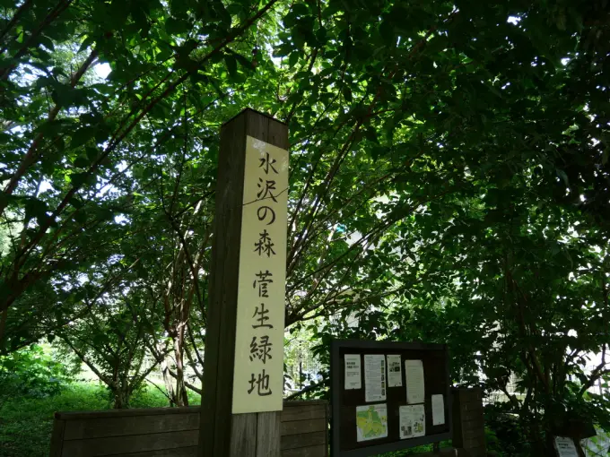 写真No.2