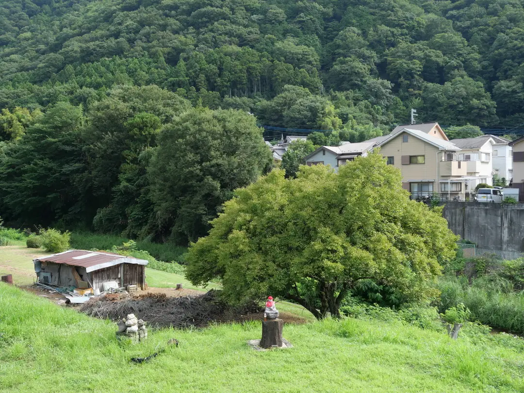 写真No.8