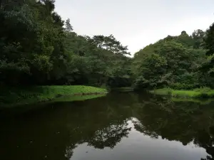 写真No.5