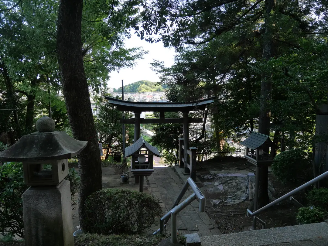 写真No.2