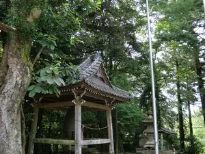 写真No.8