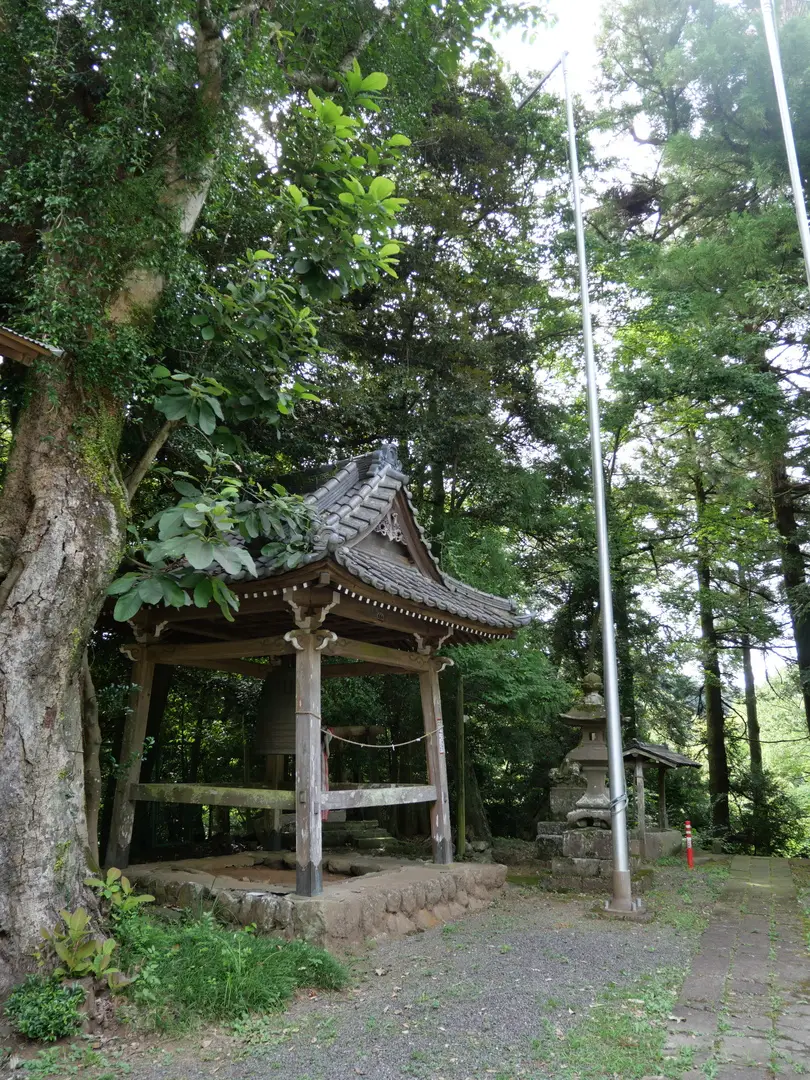 写真No.8