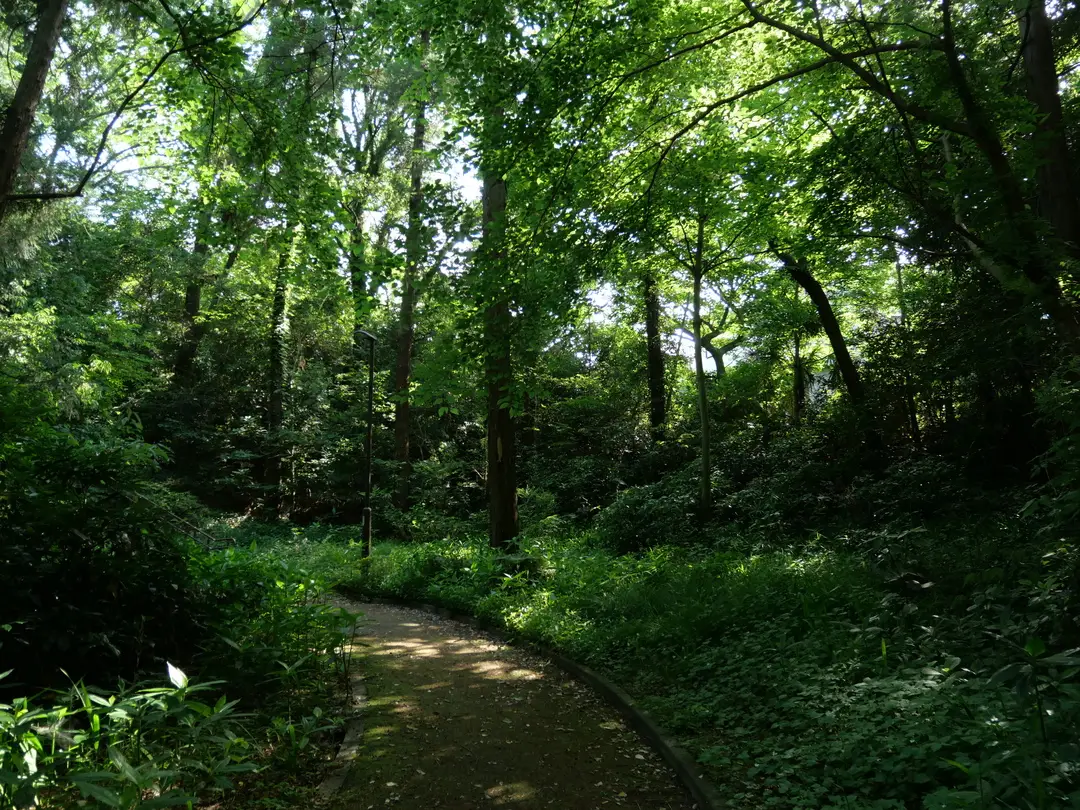 写真No.2