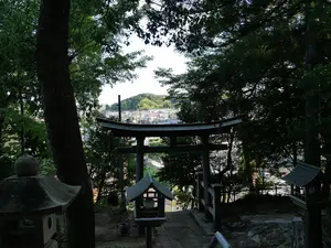 写真No.6