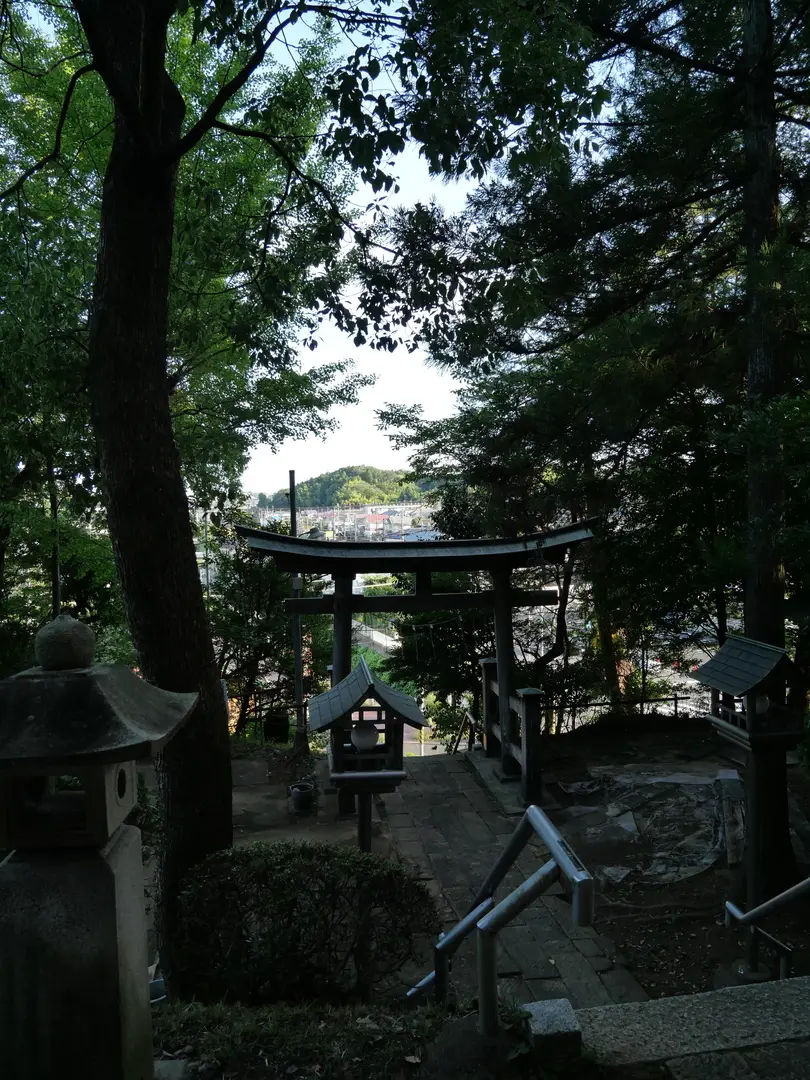 写真No.6