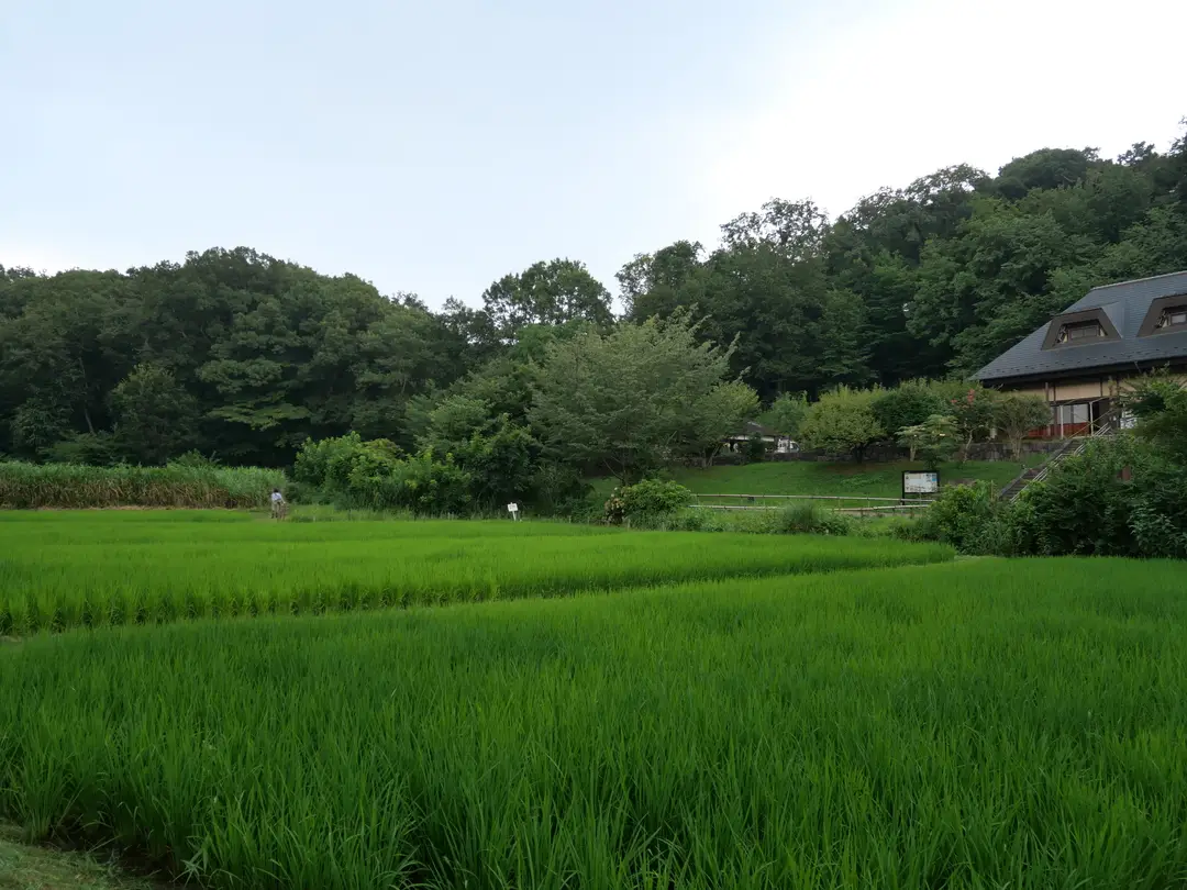 写真No.10