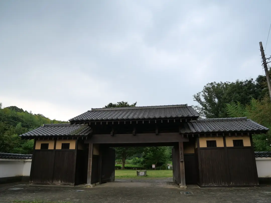 写真No.12