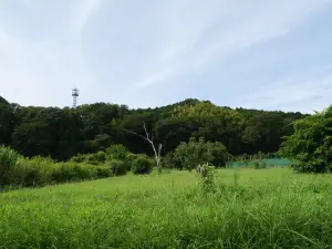 写真No.6