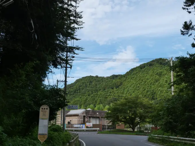 写真No.1