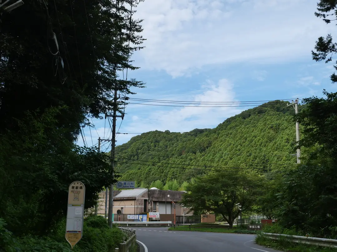 写真No.1