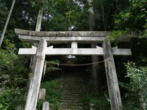 写真No.10