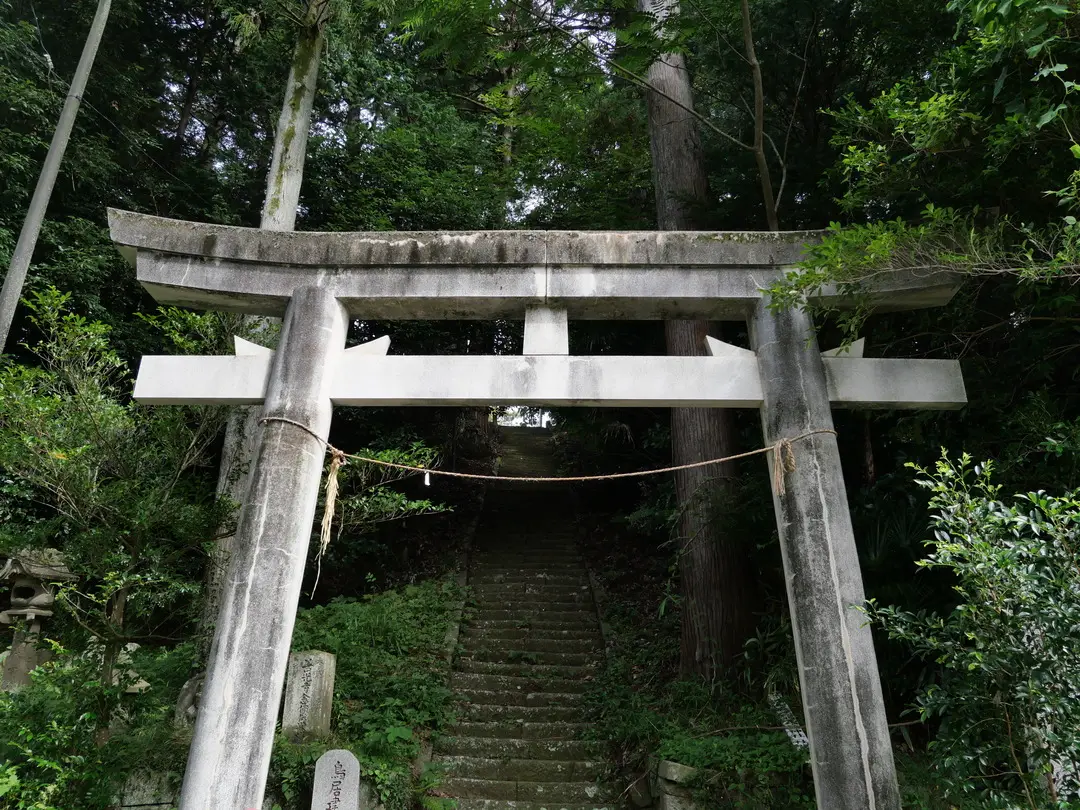写真No.10