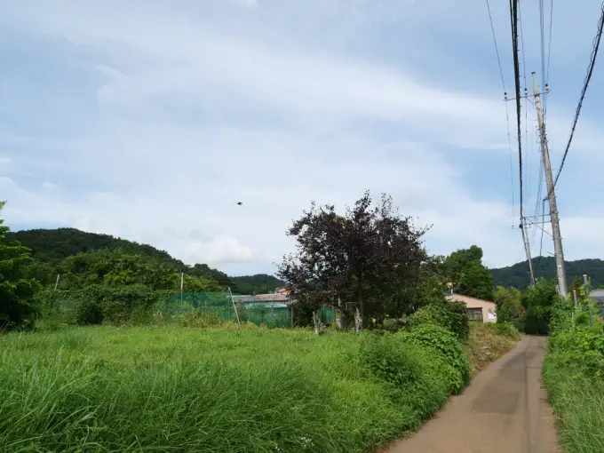 写真No.3