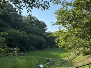 写真No.6