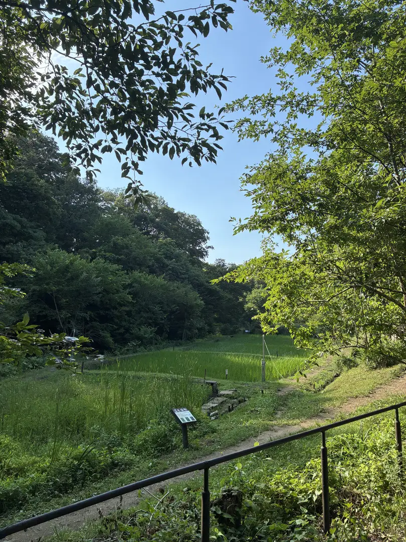 写真No.6
