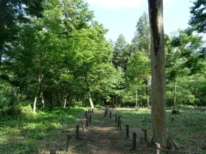 写真No.3