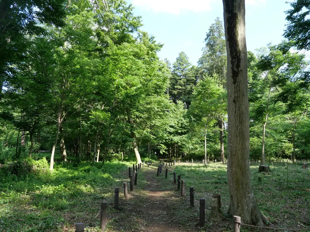 写真No.3