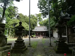 写真No.6