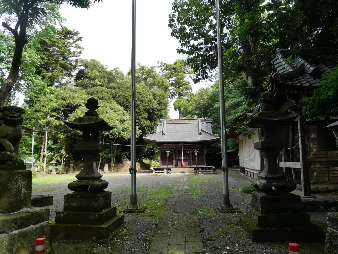 写真No.6